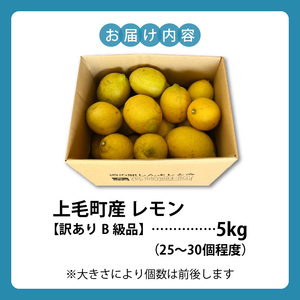 上毛町産レモン 訳ありB級品 5kg _K06406