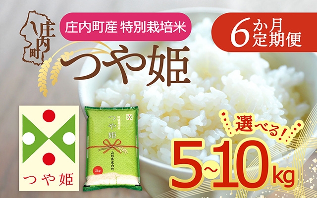 
                  【定期便】【令和7年産/8年産】つや姫 5kg～10kg×6ヶ月 毎月お届け 特別栽培米 山形県庄内町産 余目産 庄内米 ブランド米 米 コシヒカリの原点、亀の尾発祥の地 お米の定期便 ごはん 粘り 甘み 香り 粒が大きい【毎月下旬発送】
                