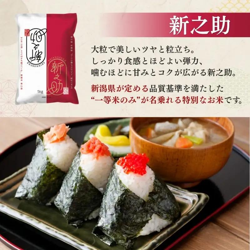 【最短3日配送】新之助 精米 上越産 送料無料 米 新之助 10kg