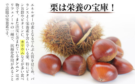 【先行予約】生栗約1kg(2L-Lサイズ)《2026年9月上旬-9月下旬頃出荷》