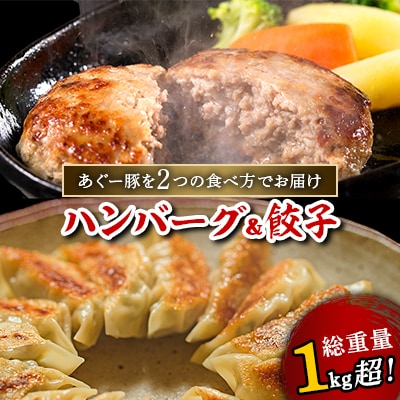 
            総重量1kg超!あぐー豚を2つの食べ方でお届けします(ハンバーグ&餃子)【1139598】
          