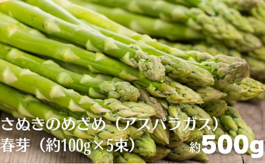 さぬきのめざめ（アスパラガス）春芽  約500g（約100g×5束）旬野菜