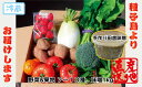 【ふるさと納税】種子島 発！旬の 野菜 と 果物 と 手作り田舎味噌 セット
