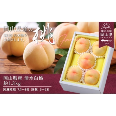 
                  ＜2026年発送＞岡山県産　清水白桃　約1.3kg(5～6玉)_清水白桃 白桃 桃 もも モモ 1.3kg 5玉 6玉 高級桃 贈答 果物 くだもの フルーツ 甘い 岡山県 津山市 産直 産地直送 ギフト プレゼント 送料無料【1614026】
                