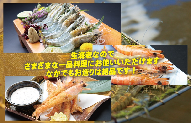 【生食可】泉州車えび 300g【先行予約】 015B391