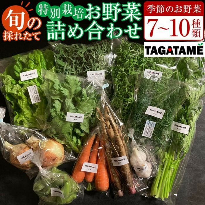 【ふるさと納税】【選べる配送】特別栽培 旬の採れたて 7～10種類お野菜詰め合わせセット TAGATAME タガタメ【野菜 特別栽培 有機野菜 農薬不使用 無農薬】