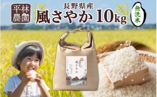 【2026年10月発送】令和8年産 風さやか 無洗米 10kg×1袋 長野県産 米 白米 精米 お米 ごはん ライス 甘み 農家直送 産直 信州 人気 ギフト 時短 お取り寄せ 平林農園 送料無料 長野県 大町市