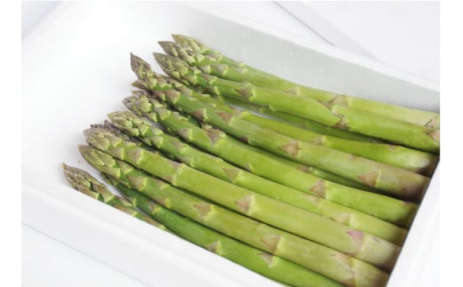 津南産アスパラガス LA・2Lサイズ 1.3kg サイズおまかせ 新潟県 津南町
