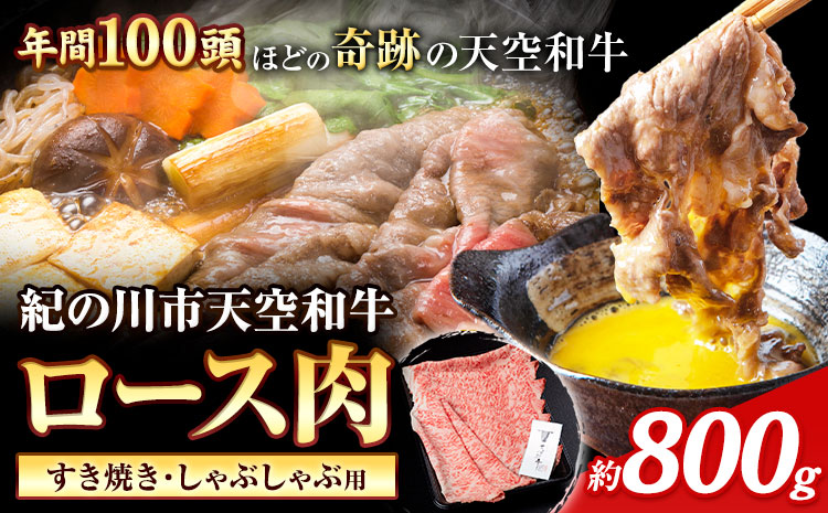 年間100頭程の希少な天空和牛!熊野牛 紀の川天空和牛 ロース すき焼き しゃぶしゃぶ 用 約800g 有限会社松牛 《30日以内に発送予定(土日祝除く)》 和歌山県 紀の川市 黒毛和牛 牛 牛肉（F)