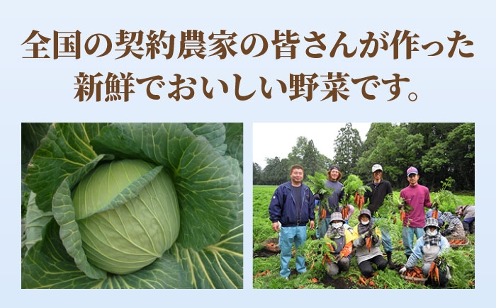 ちゃんぽん・皿うどんセット（各2食）