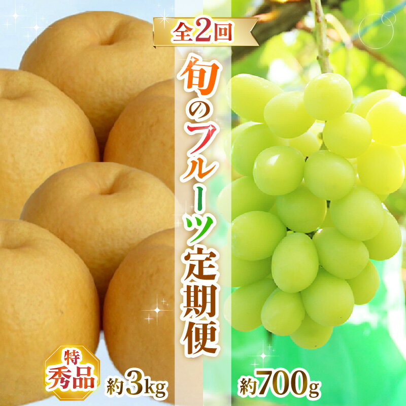 【ふるさと納税】【先行予約】定期便 ≪2回お届け≫ 旬のフルーツ定期便 全2回 シャインマスカットと新興梨『特秀品』 ※2026年9月中旬より順次発送