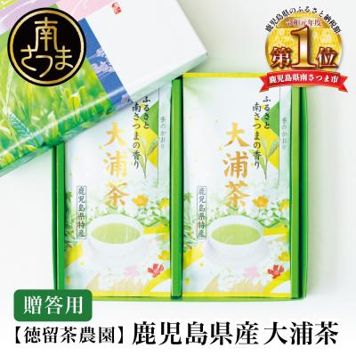 ふるさと納税 南さつま市 鹿児島県産緑茶 大浦茶 一番茶 2本セット(100g×2) [贈答用]