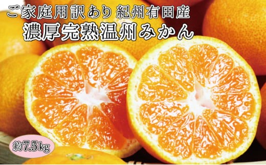 【先行予約】【ご家庭用訳アリ】紀州有田産濃厚完熟温州みかん　7.5kg　※2025年11月下旬頃～2026年1月下旬頃に順次発送予定(お届け日指定不可)【uot704B】
