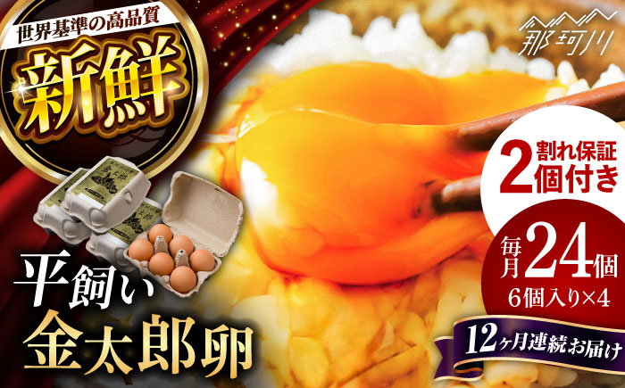 【12回定期便】【TVで紹介！】【鮮度ＡＡ級の世界最高ランク！】金太郎卵 平飼い たまご 24個（6個×4パック）＜有限会社フジノ香花園＞那珂川市 [GAM035]