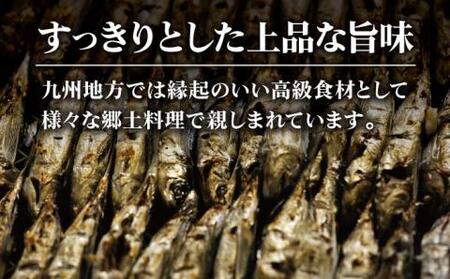 【五島列島産】厳選 焼きあご 100g×12袋【新魚目町漁業協同組合】[RBC004]