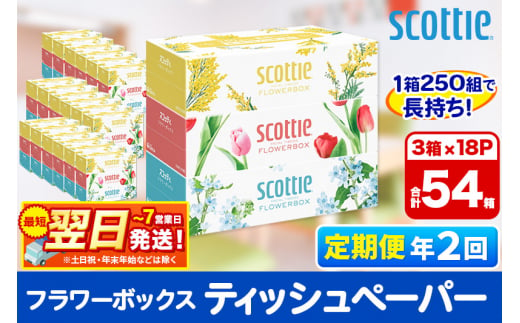 《6ヶ月ごとに2回お届け》定期便 ティッシュペーパー スコッティ フラワーボックス250組 54箱(3箱×18パック)  最短翌日発送【レビューキャンペーン中】