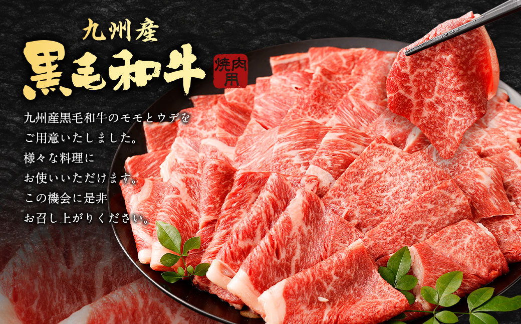 九州産 黒毛和牛 焼肉用 モモ ウデ 各500g 計1㎏ 国産