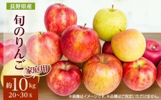 ＜2025年発送＞家庭用　長野県北信州のりんご　約10kg(20～30玉)おまかせ1品種【1575385】