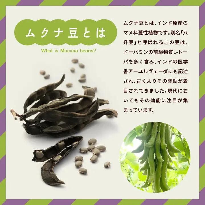 あだたらムクナ豆茶100g×2袋【ADATARAふぁーむ】
