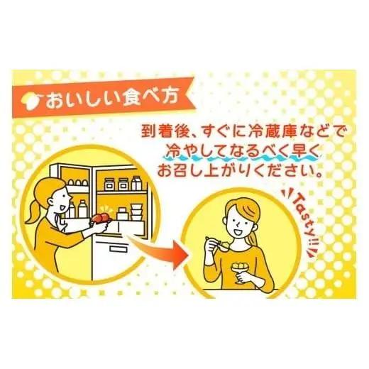 JH001《先行予約 2026年発送》宮古島産マンゴー１kg【(株)フラモン】