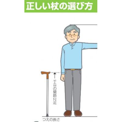 ふるさと納税 北名古屋市 国産アルミ製　T字杖　TY125L |  | 01
