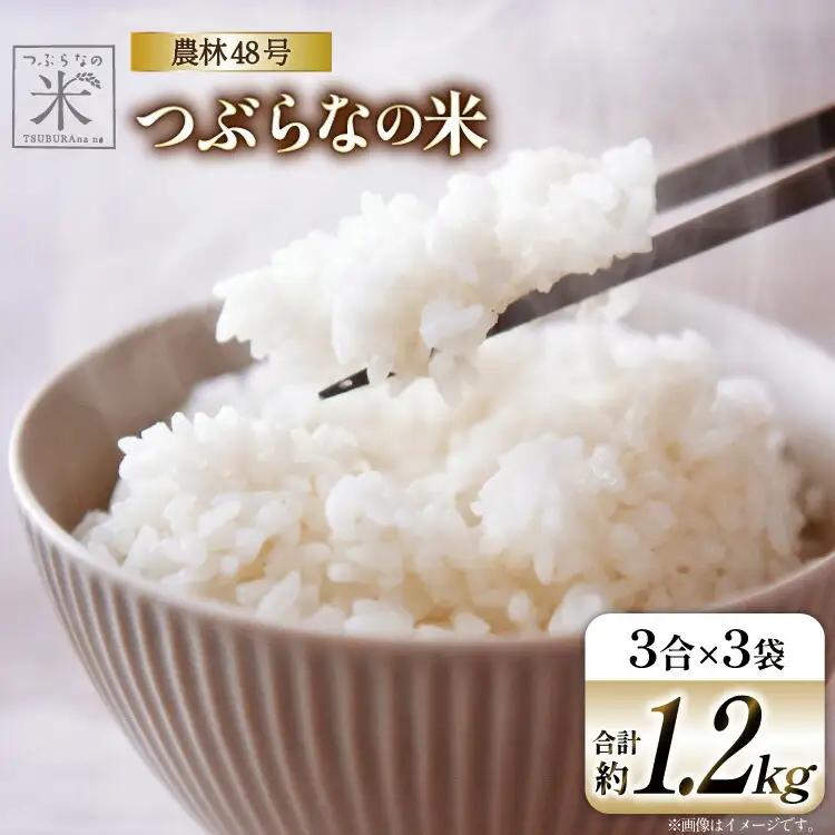 令和7年 米 農林48号 3合×3袋セット 約 1.2kg
