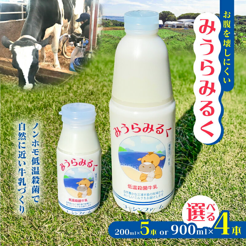 【ふるさと納税】＜選べる容量＞【低温殺菌牛乳】みうらみるく 200ml×5本 or 900ml×4本 牛乳 ミルク 飲料 ノンホモ牛乳 飲みきりサイズ お腹を壊しにくい コーシンファーム 神奈川県 三浦市 おすすめ ランキング プレゼント ギフト
