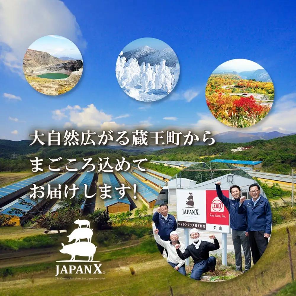 【期間限定・1パック増量キャンペーン！】JAPAN X 豚小間 切り落とし/計3kg+300g　【04301-0067】豚肉 豚 ブランド豚 小分け 豚こま 豚小間 切落し ジャパンエックス 蔵王 人
