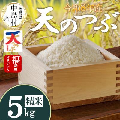 ふるさと納税 中島村 令和8年産 中島村産 天のつぶ 精米 5kg