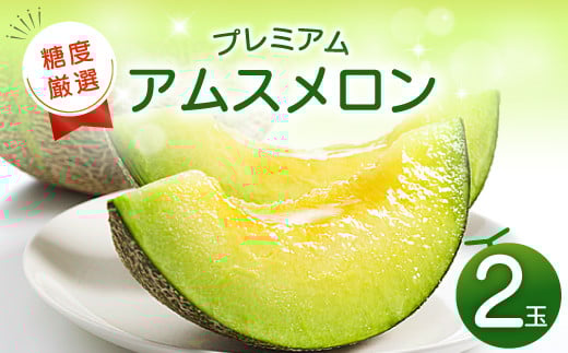 
            【先行予約】糖度厳選プレミアム アムスメロン 2玉【メロン 青肉 先行予約 めろん 糖度16度以上 季節限定 果物 くだもの フルーツ 期間限定 早期予約】
          