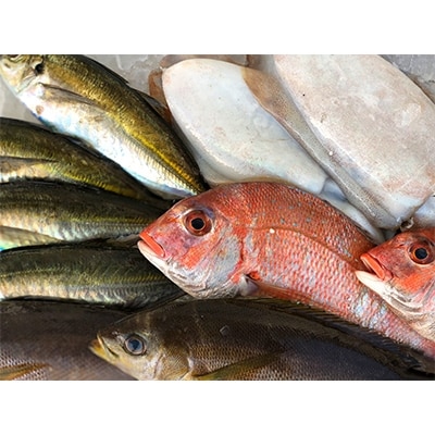 竹中水産の「お手軽鮮魚ボックス約1.5キロ」!【D22−232】【配送不可地域：離島・北海道・沖縄県】【1070932】