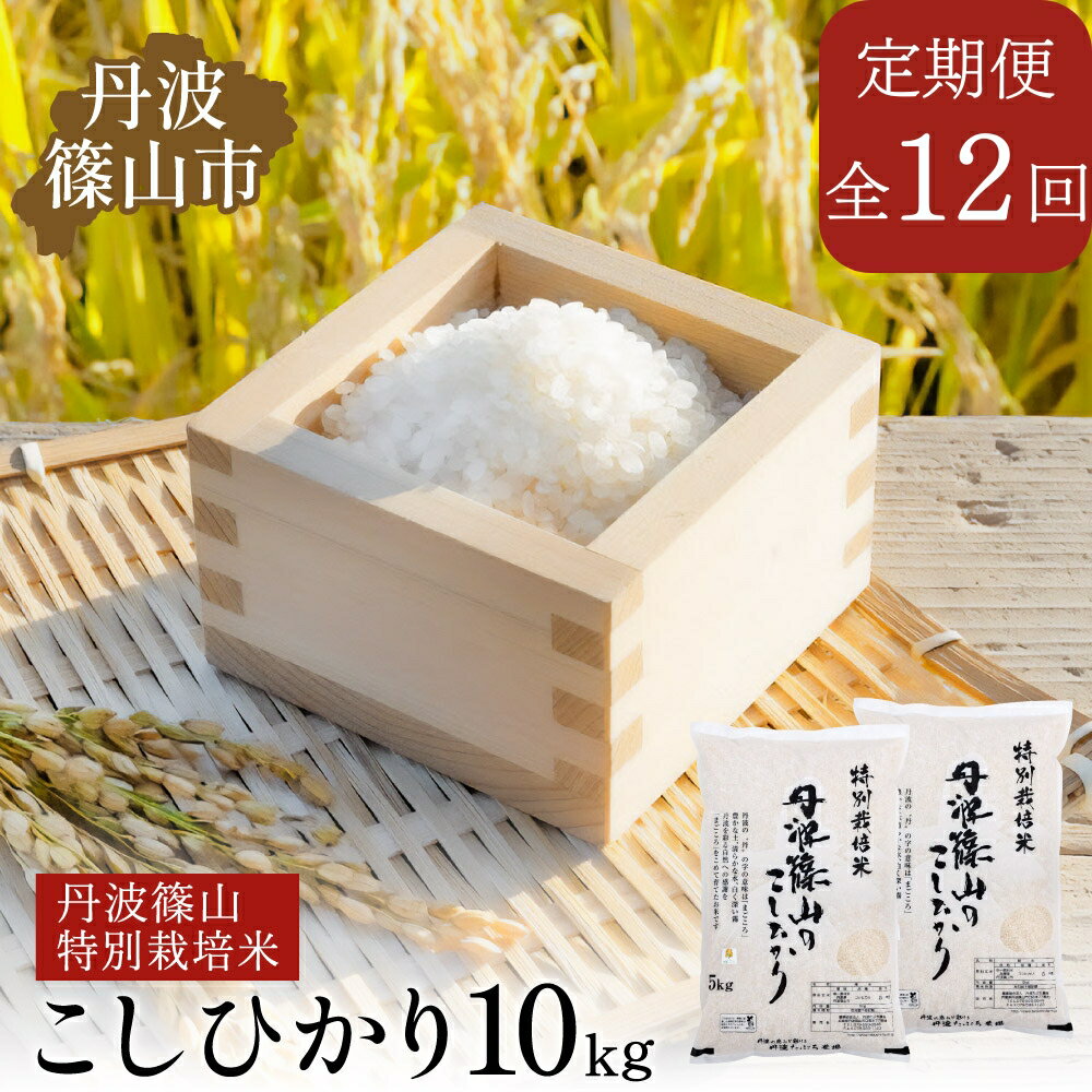 【ふるさと納税】【定期便】※令和7年 新米予約※特Aランク特別栽培米　コシヒカリ　10kg（全12回）総量120kg 兵庫県 丹波篠山市 白米 100％単一原料米 産地直送米 贈答 おいしい お米 精米 ブランド おこめ 健康 ギフト 内祝い 贈り物 送料無料 おすすめ 人気 口コミ