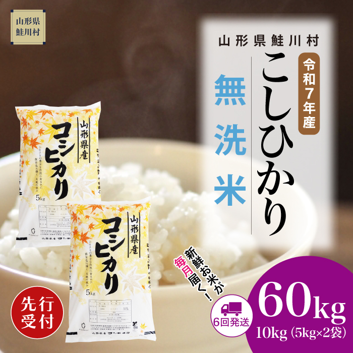 ＜令和7年産米先行受付＞ 鮭川村産 こしひかり 【無洗米】60kg定期便(10kg×6回)　配送時期指定できます！