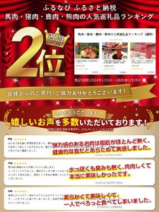 甲斐の国発 国産赤身馬刺し 200g 冷凍 馬刺し 馬肉 赤身肉