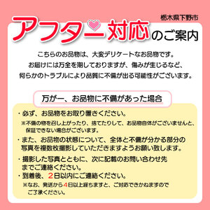 【2025年先行予約】日本一のいちご生産量を誇るJAはが野が厳選 とちおとめ、とちあいか食べ比べ平パック4P | 栃木県 下野市 送料無料