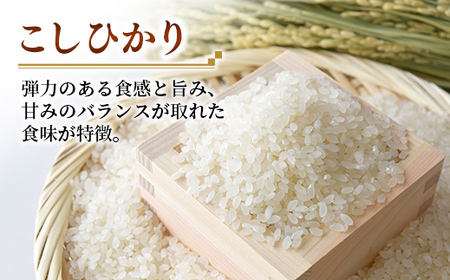 【新米発送】☆令和6年産☆『こしひかり』　精米10kg(5kg×2袋) 出荷日に合わせて精米【2024年9月上旬より発送開始】コシヒカリ 人気 銘柄 茨城県産 お好み 選択 家計応援 家庭用 茨城県 