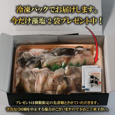 ふるさと納税 愛南町 【訳あり】 クエ鍋 セット 500g タマクエ 鍋  切り身 刺身 天ぷら フライ 塩焼き アラ |  | 03