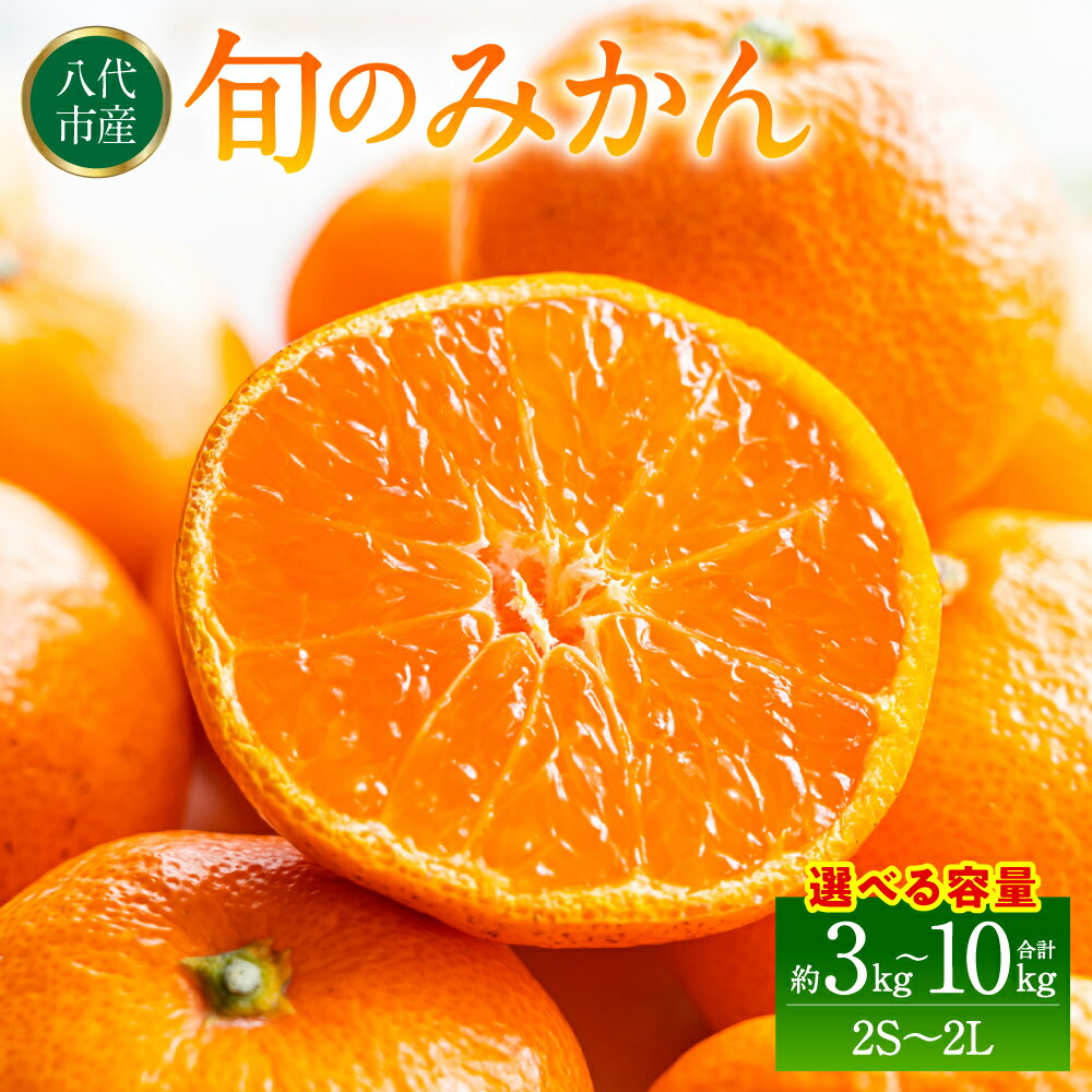 【ふるさと納税】旬のみかん 2S～2Lサイズ 【選べる内容量】 約3kg～約10kg ミカン 柑橘 果物 フルーツ 旬 くだもの デザート 熊本県 八代市産 送料無料