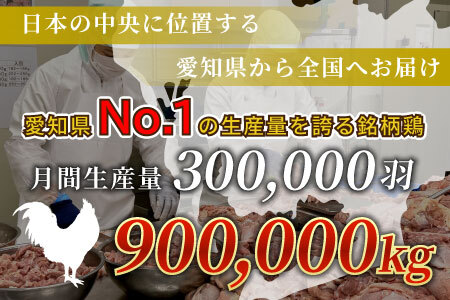 愛知県産 銘柄鶏 奥三河どり 半羽 小分け 約0.9ｋｇ 鶏肉セット 冷凍 生 生鶏 チキン クリスマス パーティー バーベキュー BBQ アウトドア キャンプ ダッチオーブン チキン 鶏肉 鶏 高品