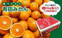 【ふるさと納税】【定期便】【みかん三昧・傷ありコース】 有田みかん 食べ比べ3種 各約5kg (極早生・完熟早生・中生) みかん ミカン 蜜柑 柑橘 果物 フルーツ 国産 和歌山県広川町 ※着日指定不可 ※10月中旬〜翌年1月下旬頃に順次発送予定