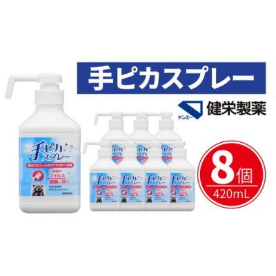 ふるさと納税 松阪市 手ピカスプレー 420mL×8個