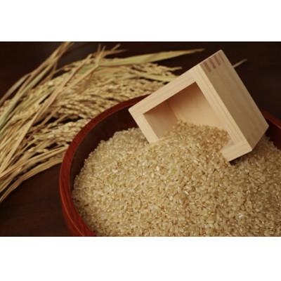 ふるさと納税 西脇市 【毎月定期便】兵庫県産 コシヒカリ(玄米) 30kg(10kg×3)全3回 |  | 01