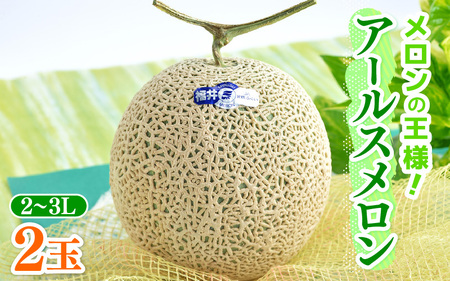 【先行予約】メロンの王様！アールスメロン 2玉入 2～3L 〈贈答用にも最適な最高級メロン〉／ 期間限定 果物 フルーツ 高級メロン マスクメロン 青肉 産地直送 ※2026年7月中旬より順次発送 [aw003-a011]