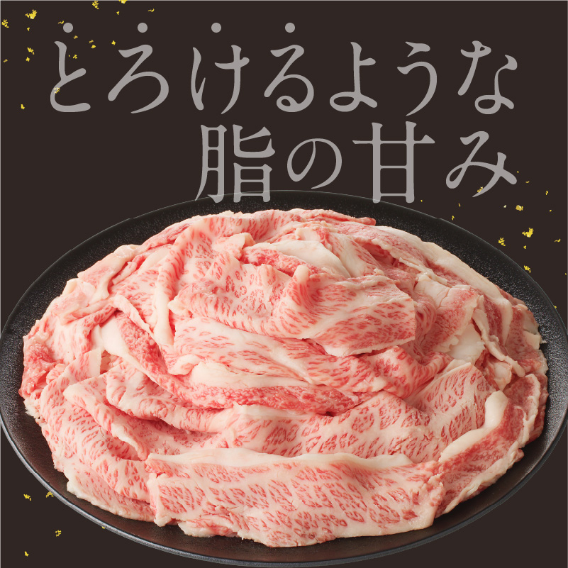 【訳あり】佐賀牛切り落とし1kg（500g×2パック）（3月配送）