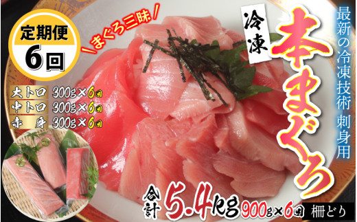 
【定期便】【6ヶ月連続お届け】 刺身可！本マグロ堪能セット（柵どり） 計900g × 6回 【最新の冷凍技術】[O-11002]
