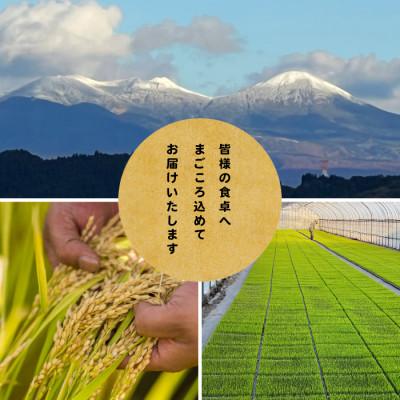 ふるさと納税 青森市 【先行予約受付】令和8年　青森県産はれわたり　玄米10kg　彩北米 |  | 02