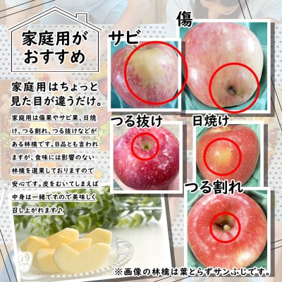 10月中旬頃発送 もりのかがやき 家庭用 5キロ箱 4.8kg 14～20玉 津軽りんご 産地直送【配送不可地域：離島】