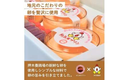 こだわりの紅孔雀の卵を使用したプリン5個セット【配送不可地域：離島】 | プリン ぷりん 洋菓子 お菓子 デザート おかし 食べ比べ 味比べ ギフト 贈答用 プリン専門店 スイーツ お取り寄せ 内祝い