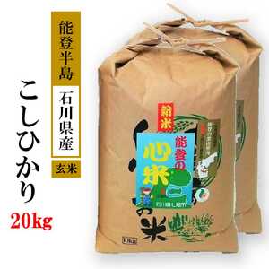新米 令和7年産 （数量限定）こしひかり 能登の心米（玄米20kg / 10kg×2袋）｜お米 新米予約 早期予約 玄米 玄米 こしひかり コシヒカリ こしひかり 能登 石川県 七尾市