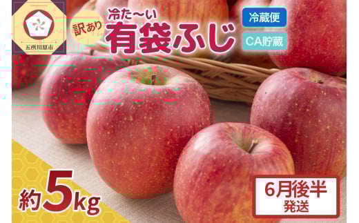【2026年6月後半発送 】りんご ふじ 訳あり 約 5kg 【 有袋栽培 CA貯蔵 クール便 果物類 林檎 リンゴ ふじりんご 家庭用 フルーツ 青森 五所川原 】